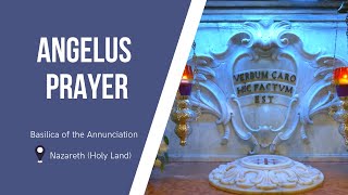 Angelus Prayer at the Basilica of the Annunciation  October 9 2024 [upl. by Des]