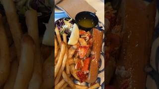 lobster roll and mussels mukbang foodshorts lobsterroll mussels seafood eating [upl. by Tcideneb16]