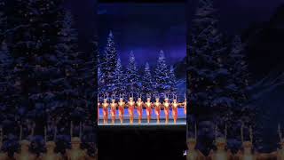 rockettes SLEIGHED their opening weekend Drop a 🦌 in the comments if youre coming to the show th [upl. by Ahcurb]