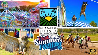 Alameda County Fair Pleasanton California EXCITING RIDES amp FOOD [upl. by Rimidalv]