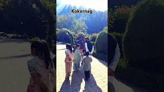 Kokernag ytshortsvideos songstatus nature travelkashmir reelsvideo [upl. by Iohk]