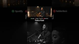 Fields of Gold  Sting Boyce Avenue acoustic cover shorts acoustic coversong cover song [upl. by Casaleggio352]