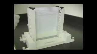 Casting SinglePercentage Gels for the PROTEAN® II XL Cell [upl. by Nilam]