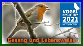 Rotkehlchen Gesang Lebensweise  Vogel des Jahres 2021 [upl. by Annairdua]