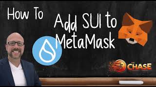 Adding SUI to MetaMask Your Complete Walkthrough Guide [upl. by Petite]