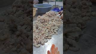 Prawn factoryprawn processingprawn Exportseafood processing [upl. by Esineg305]