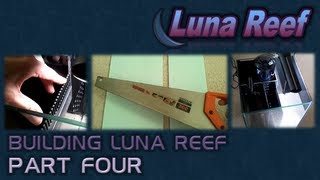 Building Luna Reef  Video 4 [upl. by Noned]