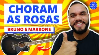 Choram As Rosas  Bruno e Marrone aula de violão simplificada Como TOCAR no Violão [upl. by Carri743]