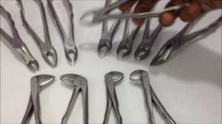 How to use GDC Dental Extraction Foreceps Set of 12 [upl. by Alodi]