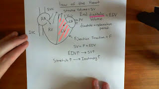 The FrankStarling Law of the Heart Part 1 [upl. by Bor]