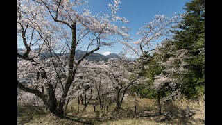 【4K】Katsuyama Castle Yamanashi  勝山城 山梨 [upl. by Cheatham]