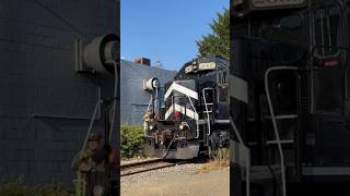 Chesapeake and Delaware train  hauling lumber train shorts [upl. by Nosyla801]