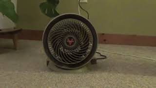 Vornado 280B Fan [upl. by Calabresi]