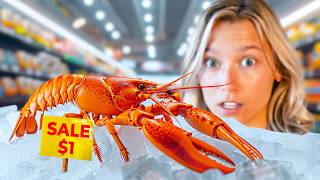 Raising a Grocery Store Lobster as a Pet [upl. by Elie]