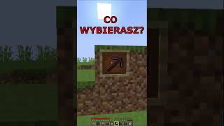 CO BYS WYBRAL W MINECRAFT [upl. by Fritz481]