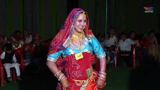 नखराली भाभी  Rajasthani Sadi Dance  Rajasthani Dj Song 2024  थारा देवर को ब्याव [upl. by Russell983]