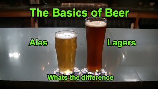 Beer 101  The Basics of Beer  Whats the difference between Lagers and Ales  Lager vs Ale [upl. by Gladdy980]