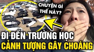 Du học sinh Việt ở Hàn Quốc CHOÁNG VÁNG khi đến trường thấy cảnh tượng HỖN LOẠN  Tin 3 phút [upl. by Ojoj]