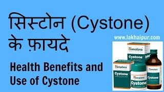 Cystone Ke Fayde  सिस्टोन के गुण और उपयोग  Cystone Use and Health Benefits [upl. by Emyam]