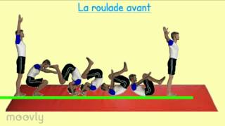 Capsule vidéo EPS Gym Les roulades avant et arrière [upl. by Imarej]