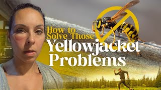 How to Get Rid of Yellow Jackets For Good DIY Yellow Jacket Removal on the Homestead [upl. by Sansone86]