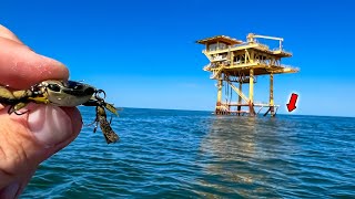 I Tossed This FAKE CRAB on an Offshore Oil Rig and Caught My Dinner [upl. by Brufsky]