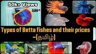 Betta fish types and its price in IndiatamilIam a hobbist [upl. by Ricardama]