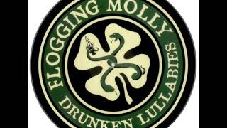 Flogging Molly  Drunken Lullabies Instrumental [upl. by Taddeusz]