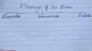 Meninges of the brain introduction BDCSIMPLIFIED [upl. by Nidroj]