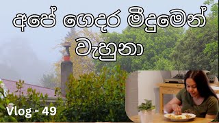 හරිම සීතලයි  මේ දවස් වල Hindi සිංදු පිස්සුවක් ගහලා  New Zealand  Sri Lankan  Sinhala Vlog [upl. by Atinahs]