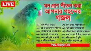 🔴 Live Gojol  ঘুমানোর আগে গজল গুলি শুনুন মনে শান্তি আসবে  মন প্রাণ শীতল করা পছন্দের গজল [upl. by Avad762]