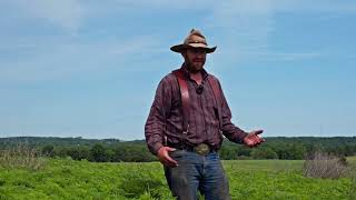 Ragweed Control in a Native Warm Season Grass Pasture [upl. by Occer]