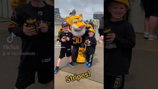 First Ticats game for Maverick CFL preseason Tiger Cars vs The RedBlacks [upl. by Tsirhc531]