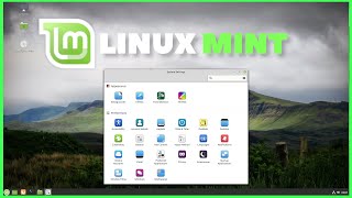 Complete Linux Mint Tutorial The System Settings [upl. by Leroy]