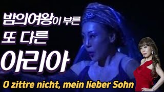 아는사람만 아는 O zittre nicht mein lieber Sohn 밤의 여왕의 비밀 아리아 이건 꼭 들어봐야 해 [upl. by Margalit47]