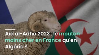 Aïd alAdha 2023  le mouton moins cher en France quen Algérie [upl. by Ryder]