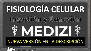 Clase 2 Fisiologia  Ingestión y excreción celular VERSIÓN ANTIGUANUEVA VERSÓN EN LA DESCRIPCIÓN [upl. by Enyaw78]