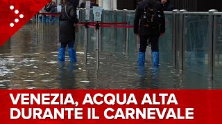 LIVE Venezia acqua alta durante la festa di Carnevale diretta video [upl. by Hailed424]