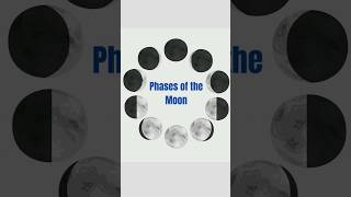 Phases of the Moon shorts [upl. by Argile]