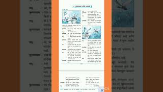 5th standard SubMarathi  LNo28 phulpakhru aani madhmashi [upl. by Comras]