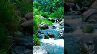 Babbling brook nature sounds  Creek sounds  Creek stream sound effect [upl. by Adnamas]