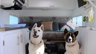 Perros Viajeros  La Realidad de Viajar y Vivir Con Perros [upl. by Niwri]