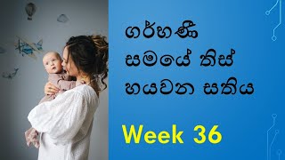 Pregnancy week 36  Pregnant week 36 Sinhala  pregnant week by week sinhala ගර්භණී සති 36 [upl. by Bruckner]