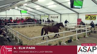 Lot 4  Elm Park [upl. by Loesceke701]