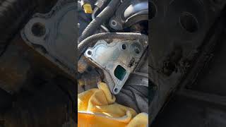 Oil filter housing gasket replacement on a bmw 20132018 [upl. by Wenz]