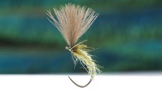 Tying the Olive CDC Emerger  the long version [upl. by Lanos]