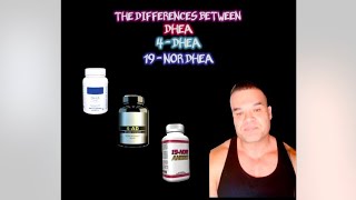 The Differences Between DHEA 4 DHEA and 19 Nor DHEA [upl. by Eisoj]