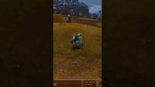 The Hilarious Pally Charger vs Yak Wash worldofwarcraft [upl. by Hudis]