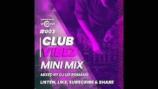 Club Vibez Mini Mix 003  Best House and Tech House Tracks [upl. by Castra]