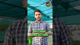 Dryland Agriculture  shorts shortvideo viralshorts [upl. by Eclud853]